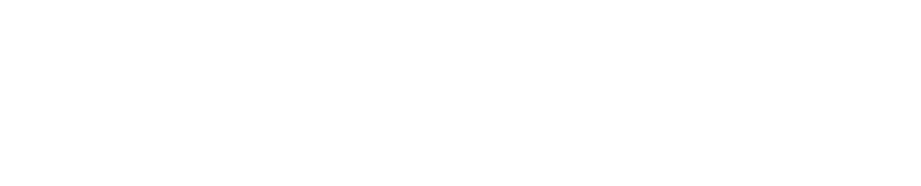 Partner logo 2-1